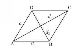 Rhombus Area & Perimeter Calculation